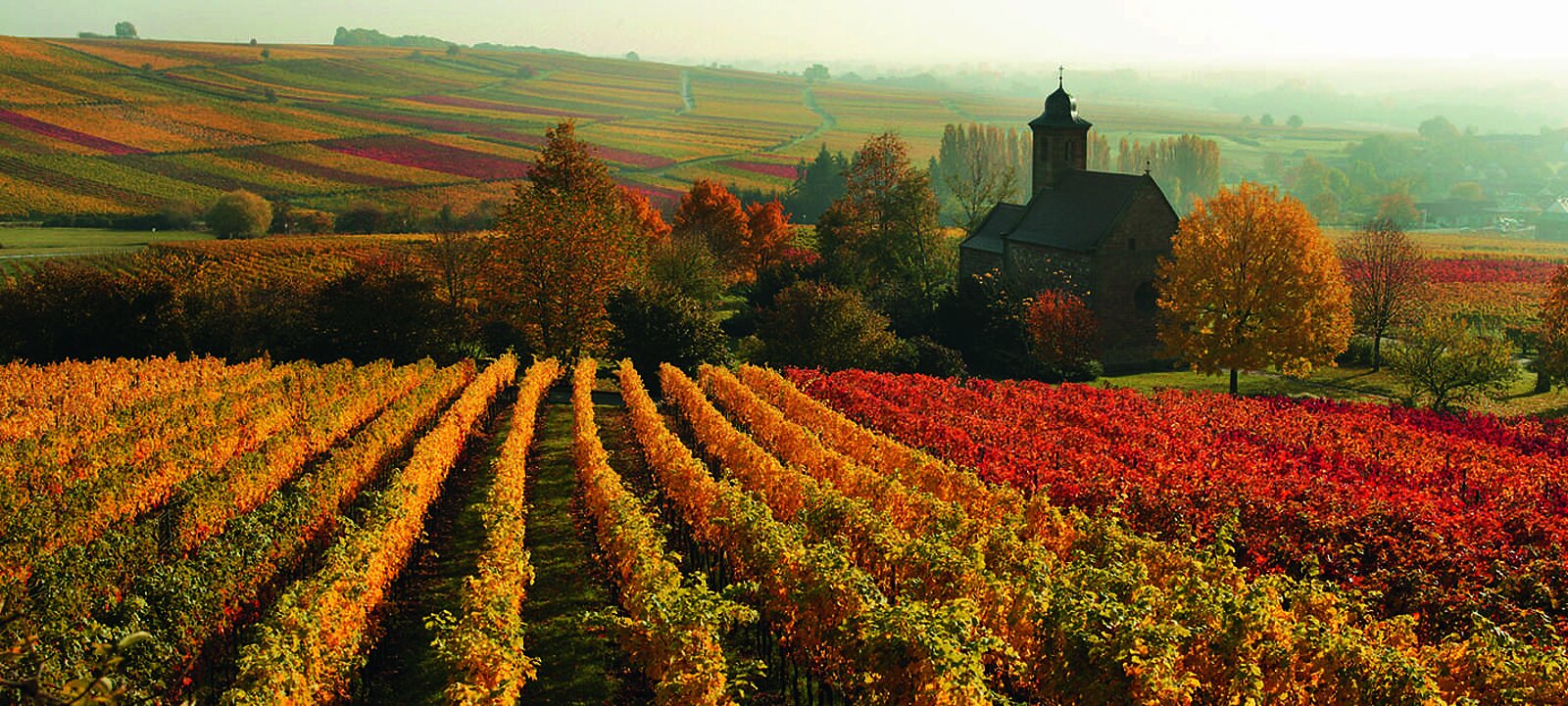 herbstlandschaft_suew_2