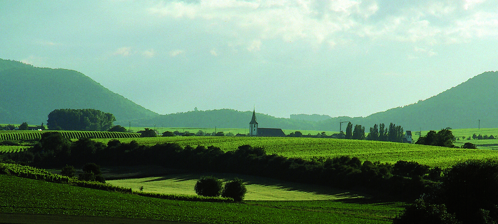 sommerlandschaft_suew